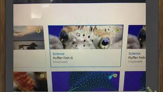 Screencast Schoology Review