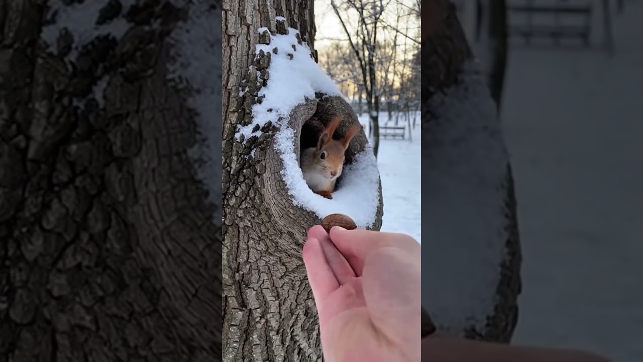 Wow, that’s amazing🥰🥰🥰 