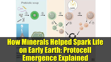How Minerals Helped Spark Life on Early Earth: Protocell Emergence Explained