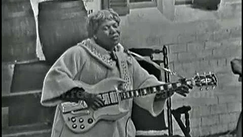 Sister Rosetta Tharpe- "Didn't It Rain?" Live 1964...