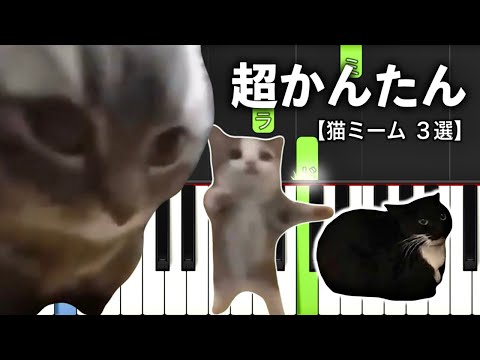 大人気 猫ミーム ３選 ピアノ簡単