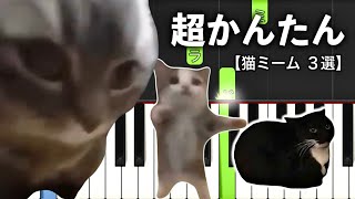 大人気猫ミーム 選【ピアノ簡単】