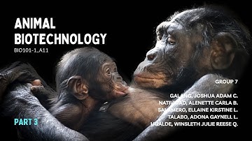 Animal Biotechnology (Part 3: Applications of Animal Models) | BIO101-1 1T2526 A11 Group 7