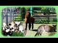 Best ZOOS of Ukraine; Vinnitsa ZOO