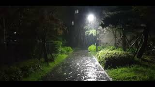 [8시간] 밤새 내리는 비, 빗소리, 공원, 가로등  …