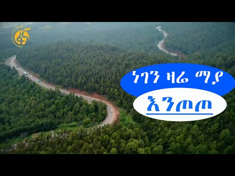 ቪዲዮ: አስቂኙ እንስሳት፡ ፎቶ፣ መግለጫ