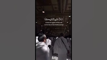 إِنَّ الَّذِينَ قَالُوا رَبُّنَا اللَّهُ _ القارئ احمد النفيس