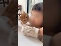 猫と家族になったら日々が激変してしまいました【とらまる】