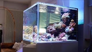 WOW!! - Epic coral reef tank 4K *high quality* by Reef Relax 21,459 views 1 year ago 10 minutes, 1 second