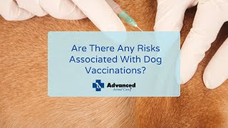 Are There Any Risks Associated With Dog Vaccinations? by Advanced Animal Care 26 views 2 years ago 1 minute, 20 seconds