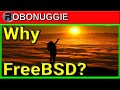 FreeBSD for the End User - A Vocal Examination