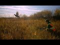 Taber Pheasant Festival