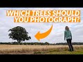 Deciding Which Trees To Photograph In The Autumn Months 🍂