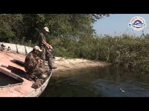 Video: Jak Hrát Ruský Rybolov