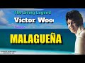 MALAGUEÑA - Victor Wood (with Lyrics)