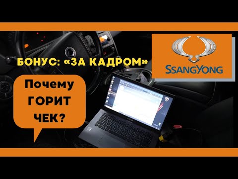 ГОРИТ ЧЕК на SsangYong Kyron: заглушить ЕГР, удалить сажевый фильтр, перевести авто на Евро 2