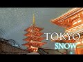 【4K Snowfall】Weather agency predicted heavy snow for TOKYO. But It doesn&#39;t snow so much. 天気予報は大雪。#4K