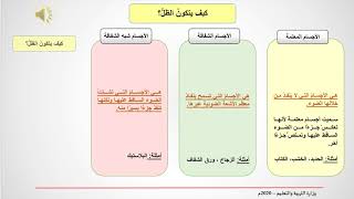 الضوء - العلوم - الخامس الإبتدائي