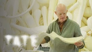 Tony Cragg - 'Be There, See It, Respond to It' | TateShots