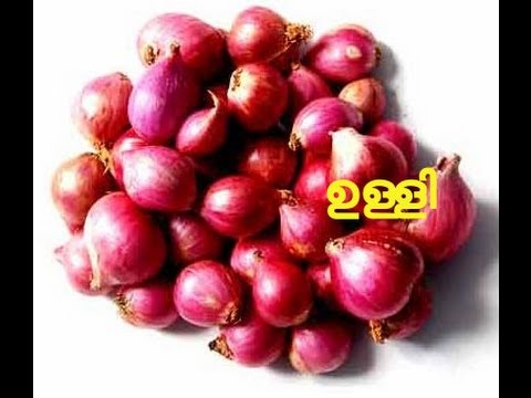 Onions for Hair Fall An Inexpensive Way to Promote Hair Growth  NDTV Food