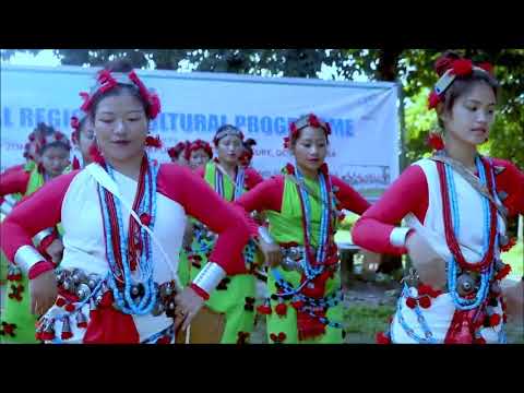JUJU JAJA FOLK DANCE OF NYISHI TRIBE Arunachal Pradesh