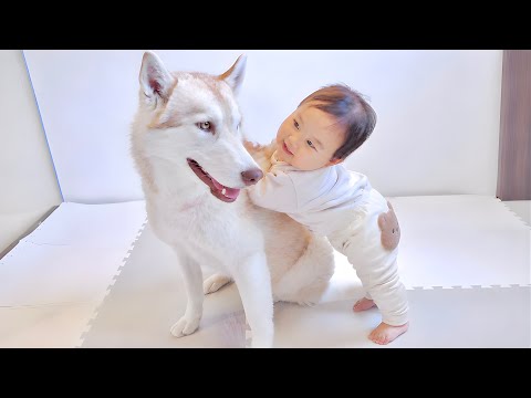 もんちゃんっていうよ。 - YouTube