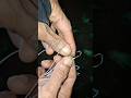 pancing belut andalan