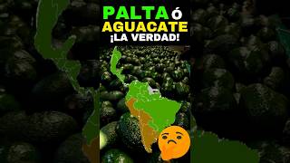 PALTA 🇵🇪 ó AGUACATE 🇲🇽 🥑 ¿Cómo se llama realmente? |FIN DE DISCUSIÓN #peru #mexico