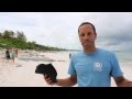 UNEP World Environment Day Beach Cleanup with Jack Johnson