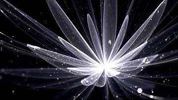 Explicit vs Implicit Understanding