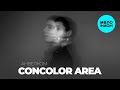 Concolor Area - Анвелком (Single 2025)