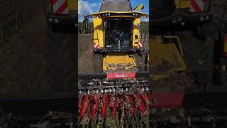 Sonnenblumen #ernte #landwirtschaft #traktor #mähdrescher #agriculture #bauernhof #farmer #shorts