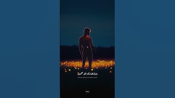 راحة نفسية 🩷 قرآن كريم ♥️ إسلام صبحي سورة القلم #اكسبلور #قران_كريم #لايك