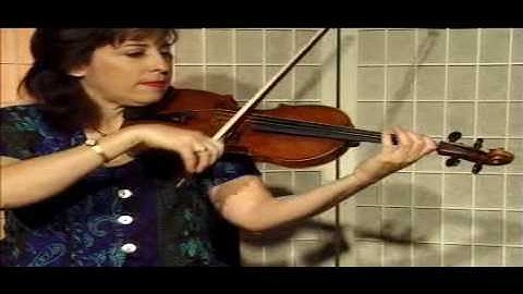 Violin Lesson - Song Demonstration - "Ode To Joy"