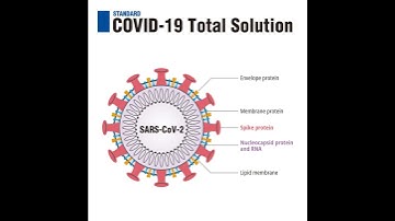 Total Solution for COVID-19 by SD BIOSENSOR