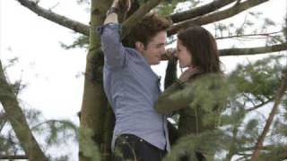 Twilight-forever