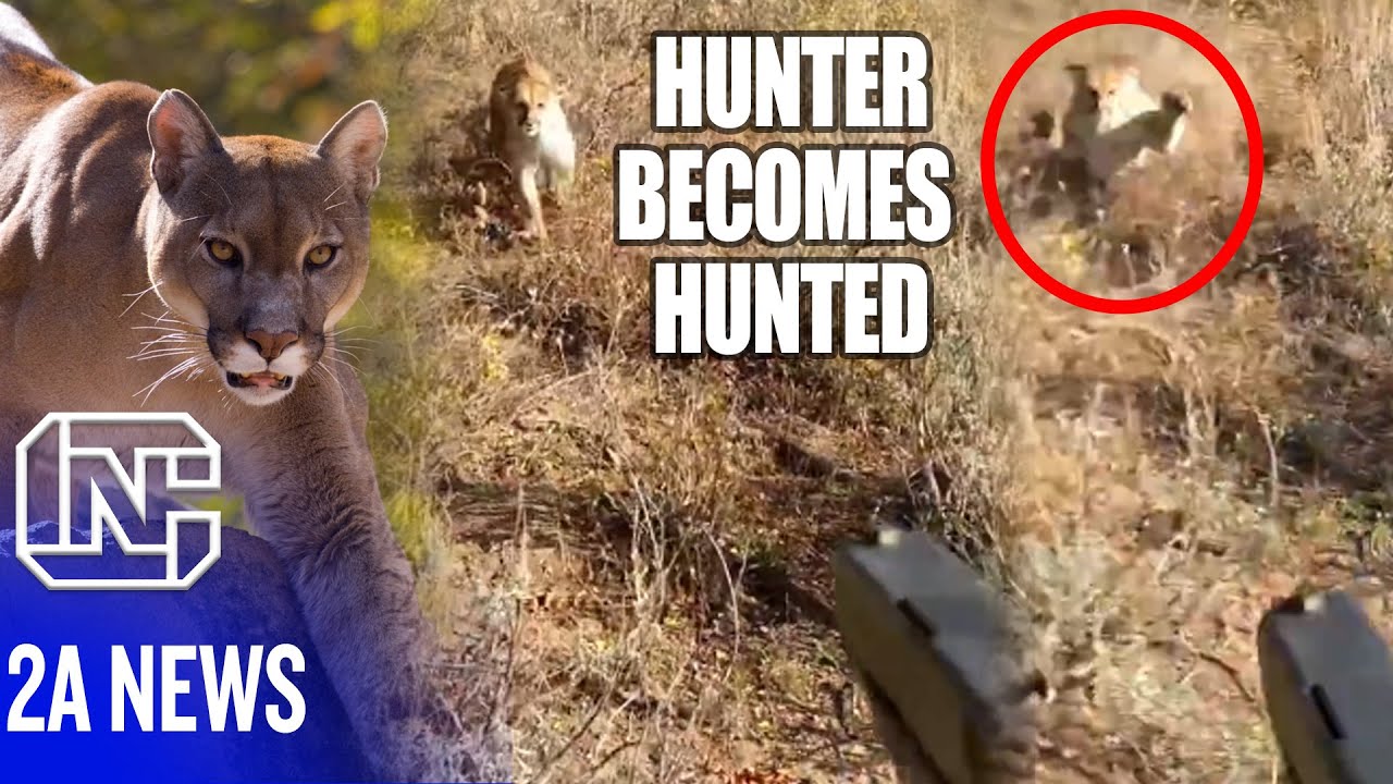 ⁣This Shocking Video of Cougar Attacking Hunter Proves Joe Biden Wrong About Magazine Bans