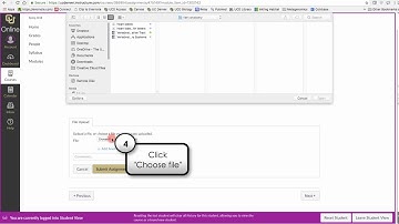 Submit a file upload assignment