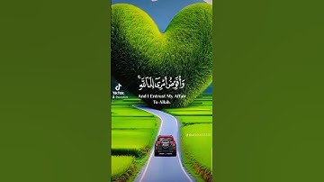 قرآن كريم #qoran_karim #اكسبلور #duet #تيك_توك #لايك