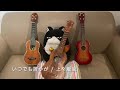 【ウクレレ】いつでも誰かが / 上々颱風(自動演奏)