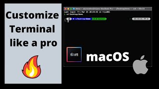 Customize your terminal on MacOS  like a pro 🔥 | oh-my-zsh | powerlevel10k | iTerm2