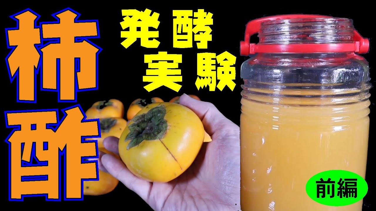 【発酵実験】本格的な柿酢造り (前編)【高血圧や脳卒中の予防】【発酵健康飲料】
