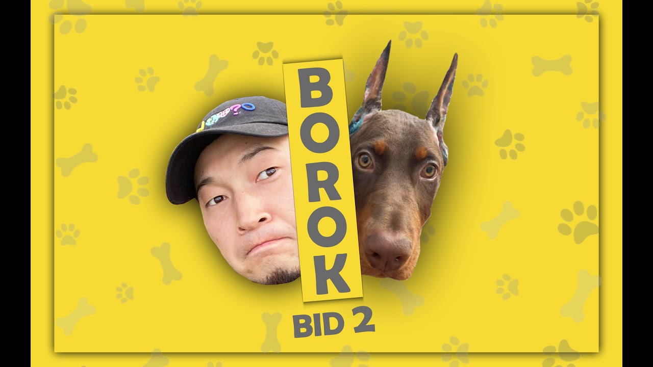 Борок бид 2. Баас шээсийг дийлхээ болиод аргаа барж сургалтанд өглөө.  /VLOG 1/