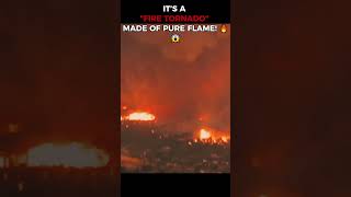 Inside a 100-foot FIRE TORNADO... 🌪️🔥 (Terrifying!)