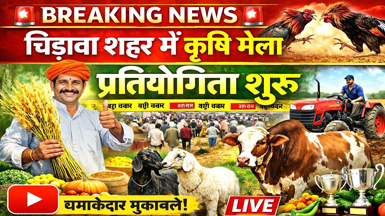 चिड़ावा शहर में जिला स्तरीय कृषि मेला, प्रतियोगिता शुरू, देखें लाइव