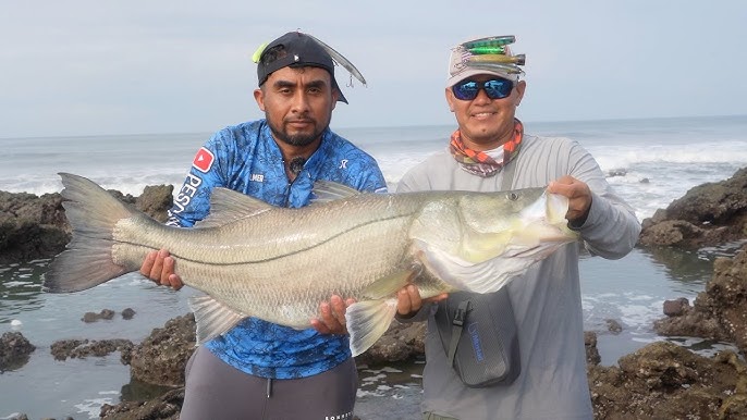 Pescando En Una Hermosa Playa En El Salvador, Pesca y Cocina Part 1 