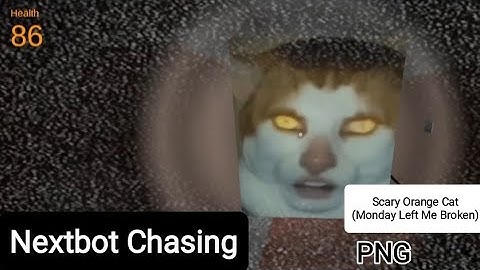 Nextbot Chasing | Full Gameplay PNG Scary Orange Cat (Monday Left Me Broken)