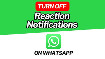 How to Turn OFF Reaction Notifications on WhatsApp [2024]