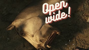Open wide | Hunt Showdown Bugs