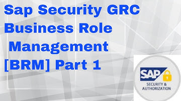 Sap Security GRC [BRM] 1
